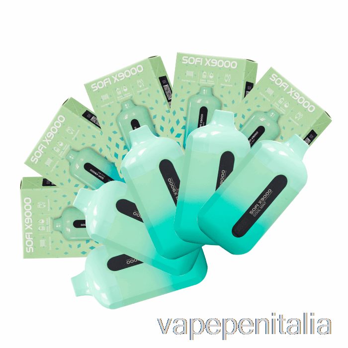 Scatola Vape Mod [confezione Da 10] Sofi X9000 Smart Usa E Getta